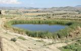 RNO Vallone di Piano della Corte, Pressi di Monte Sant’Agata, un invaso d'acqua artificiale che nel tempo si è naturalizzato, rappresenta un'area di grande valore naturalistico