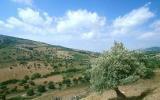 Agira - Vallone di Piano della Corte