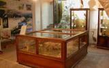 Agira - Museo Diodoro Siculo