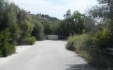Nella foto alcune coperture in fibrocemento eternit